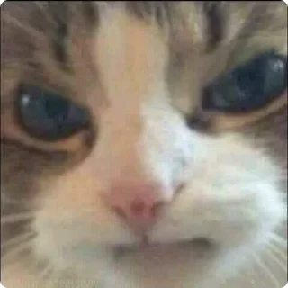 😡