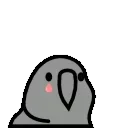 🦜