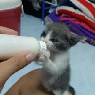 💗