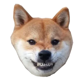 🐶
