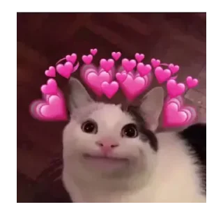 😍