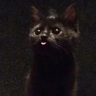 😛