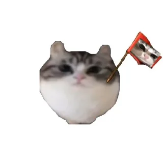 🚩