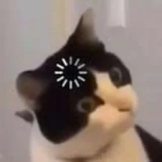 ⁉