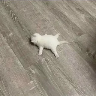 😣
