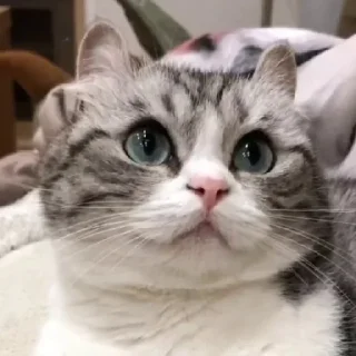 😳
