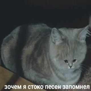 🤯