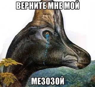 🧂