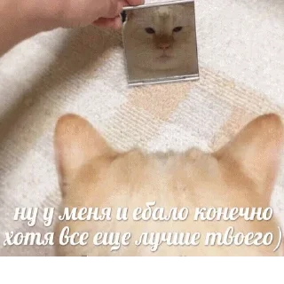 🙃
