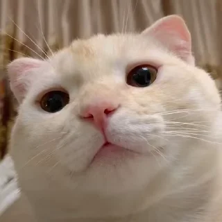 ☺️