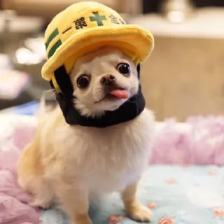 😛