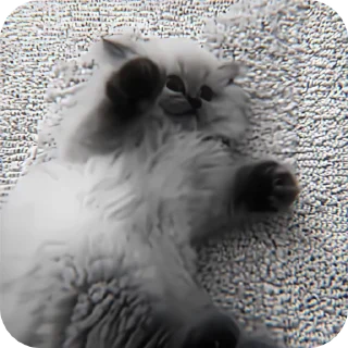 🌟