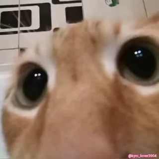 👀