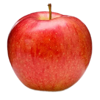 Фрукты  https://t.me/fruitworld2
