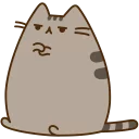 🐱