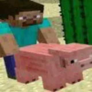 🐷