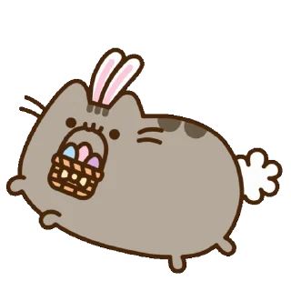🐰