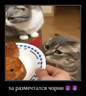 🤗