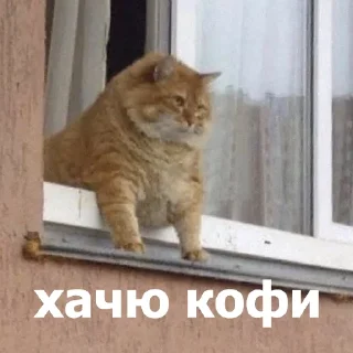 😒