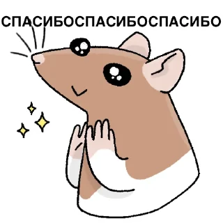 🙌