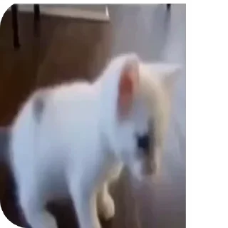 💃