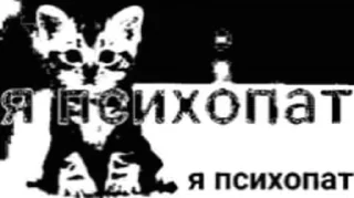 😹