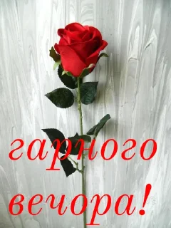 ❤️