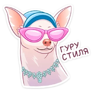 😎