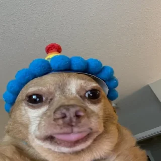 😛