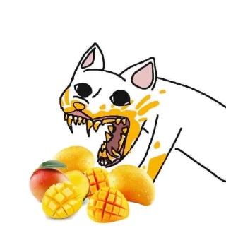 🍲
