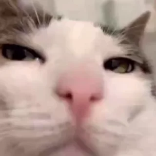 😑