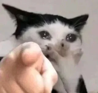 😹