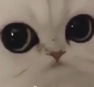 😐