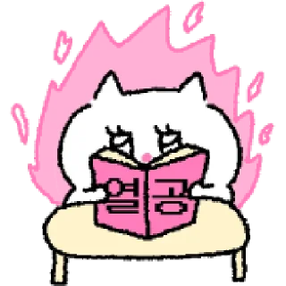 📚