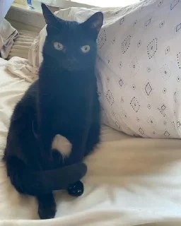 🤨