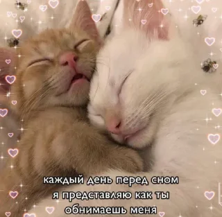 🥰