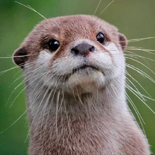 😐