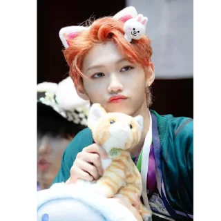 🐱