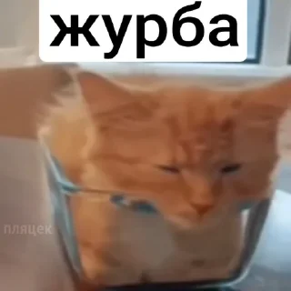 🥺