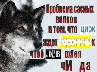 🐺