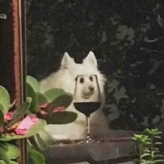 🍷