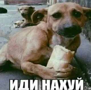 🤑