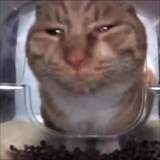 😮‍💨