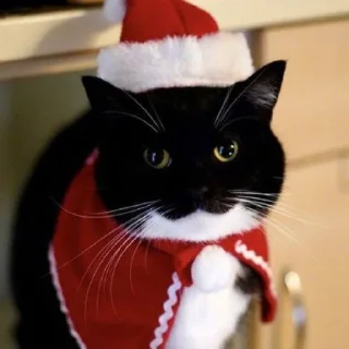 🎅