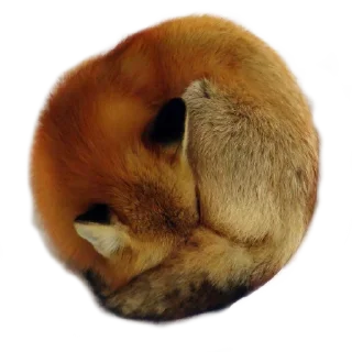 Sleepy @stickersb2b