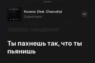 🎶