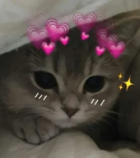 💗