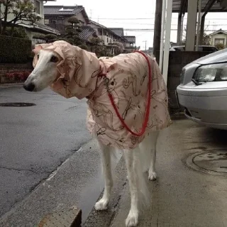 🌧