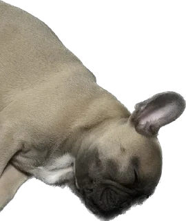😴