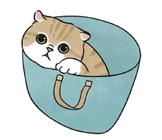 👜